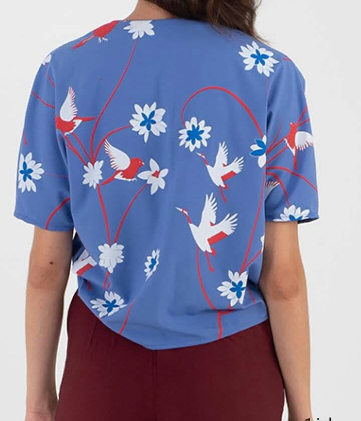 CAMISA JAPAN